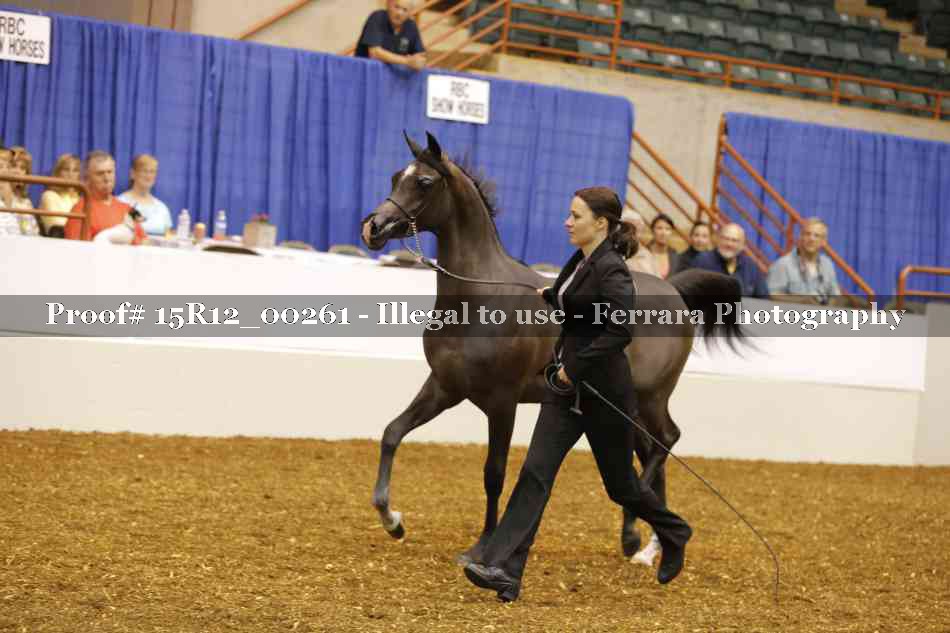 Proof Number 15R12_00261