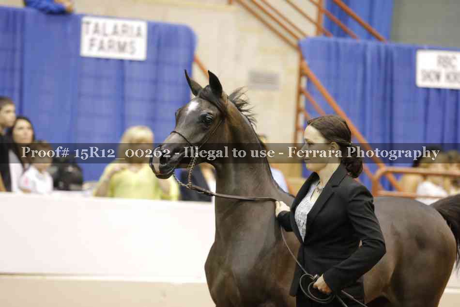 Proof Number 15R12_00262