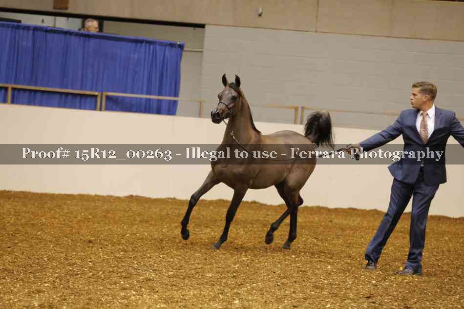 Proof Number 15R12_00263