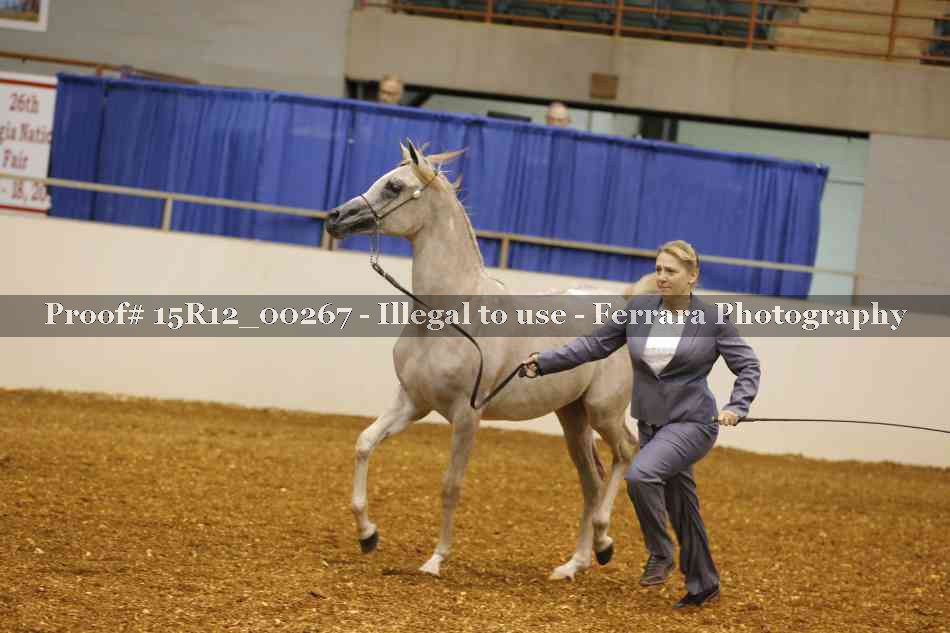 Proof Number 15R12_00267