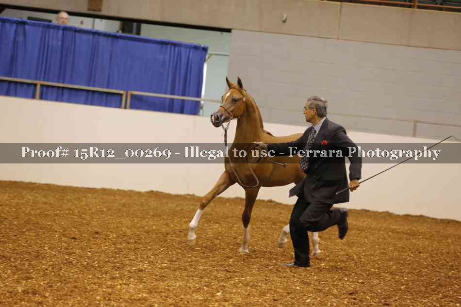 Proof Number 15R12_00269