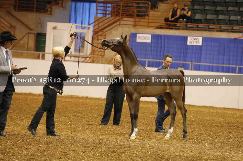 Proof Number 15R12_00274
