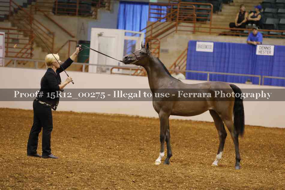 Proof Number 15R12_00275