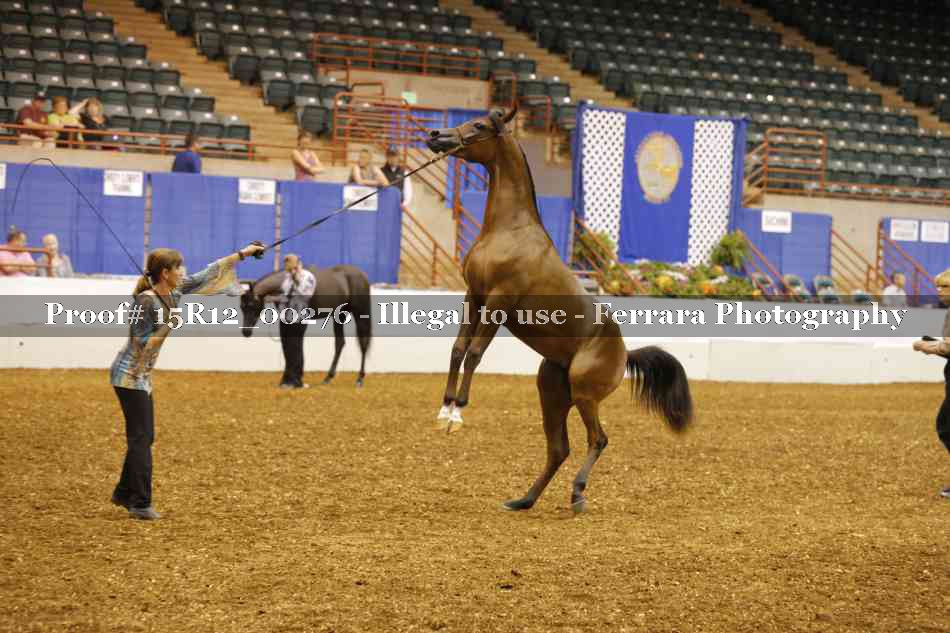 Proof Number 15R12_00276