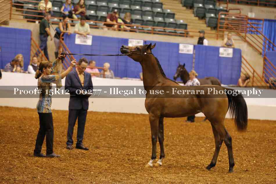 Proof Number 15R12_00277