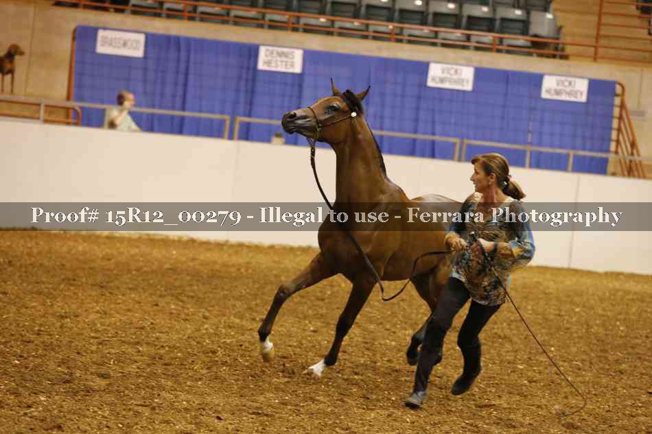 Proof Number 15R12_00279