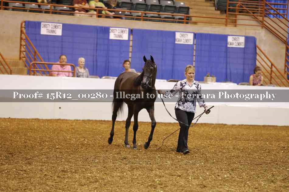 Proof Number 15R12_00280
