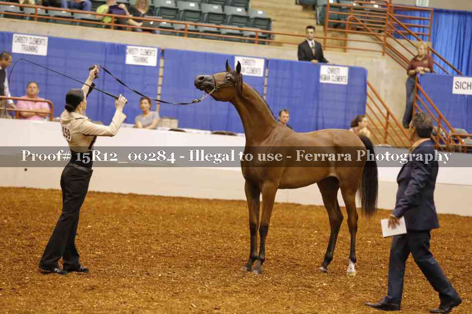 Proof Number 15R12_00284