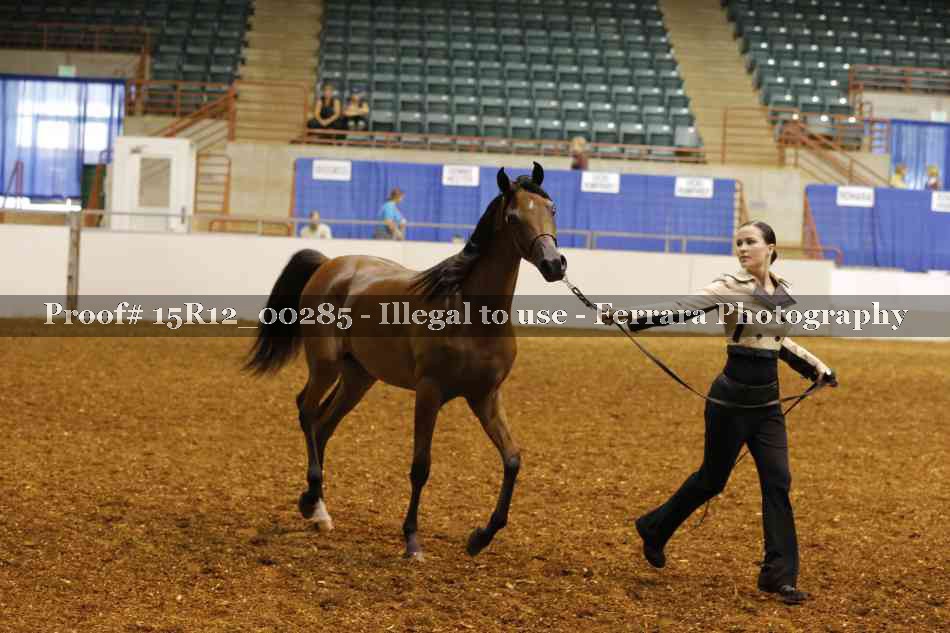 Proof Number 15R12_00285