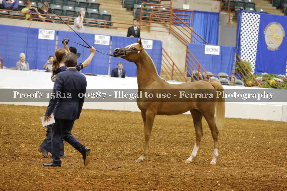 Proof Number 15R12_00287