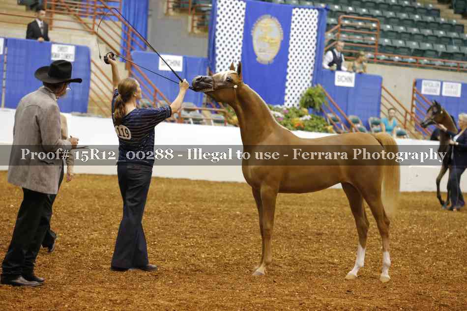 Proof Number 15R12_00288