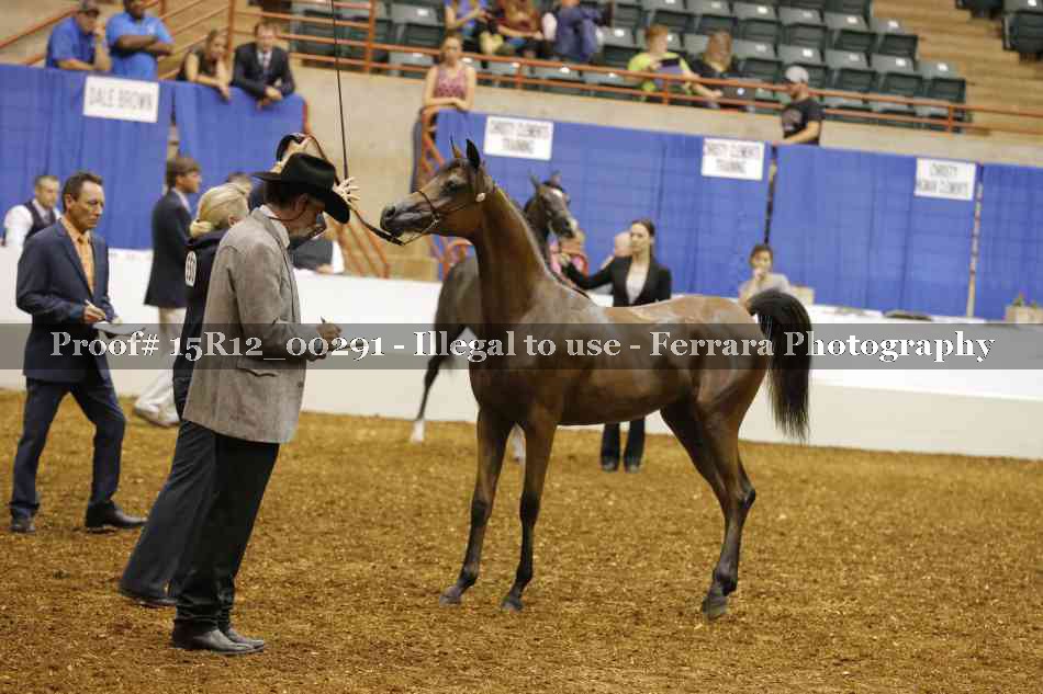 Proof Number 15R12_00291