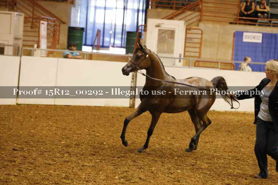 Proof Number 15R12_00292
