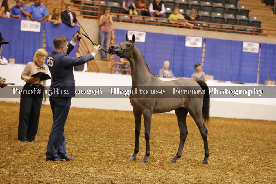 Proof Number 15R12_00296