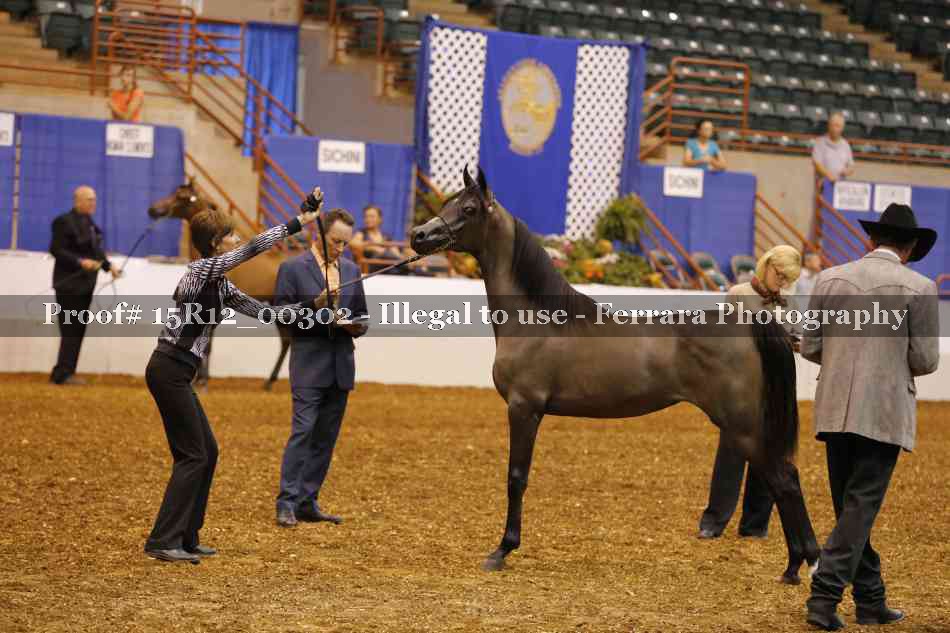 Proof Number 15R12_00302