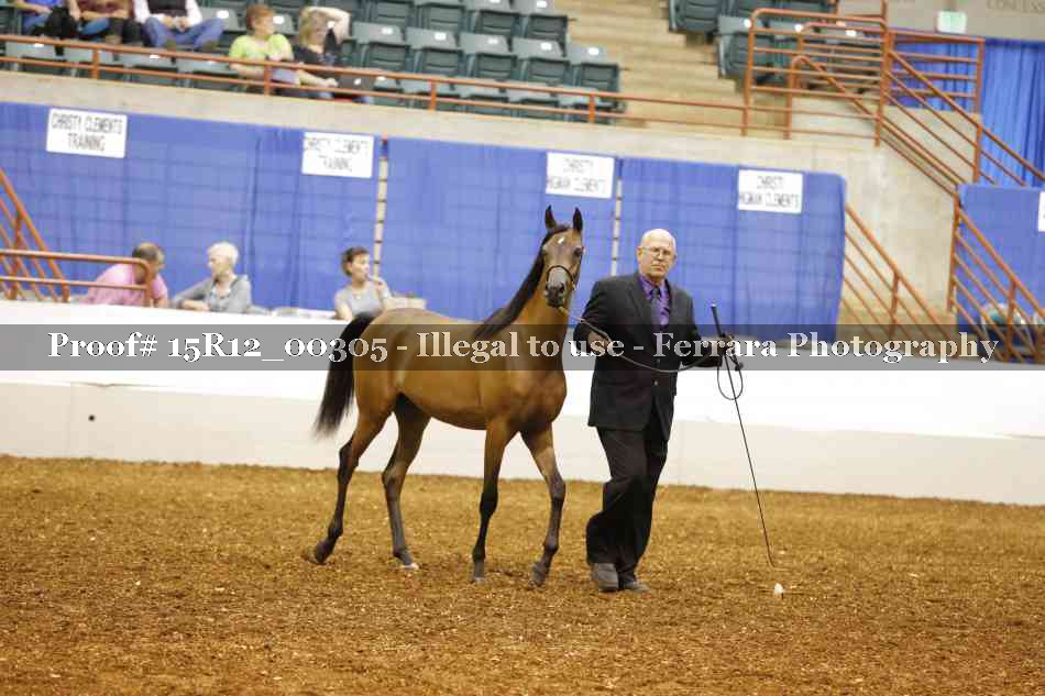 Proof Number 15R12_00305