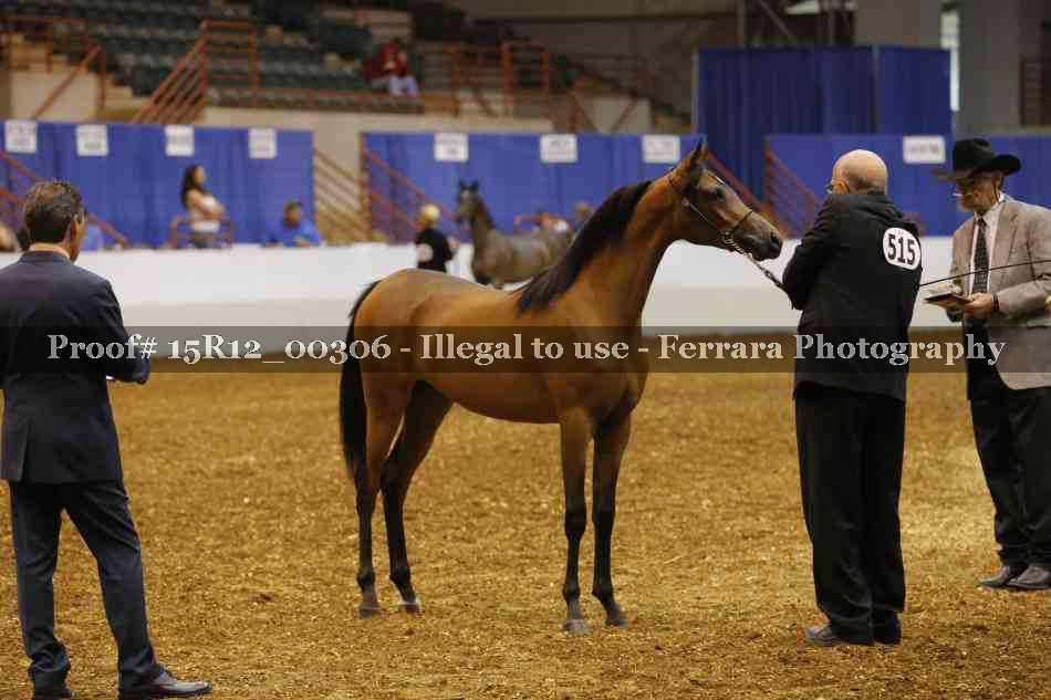Proof Number 15R12_00306
