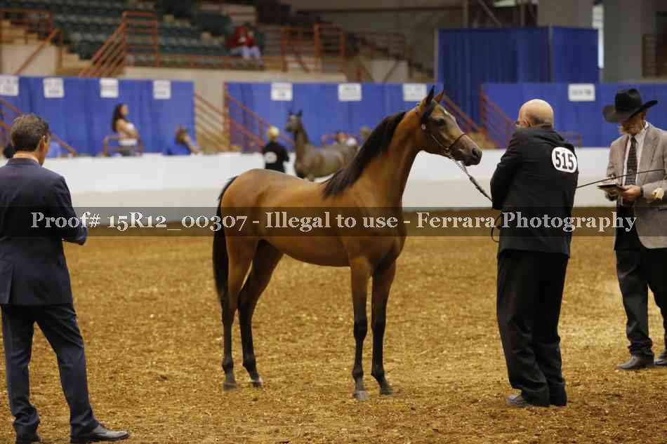 Proof Number 15R12_00307
