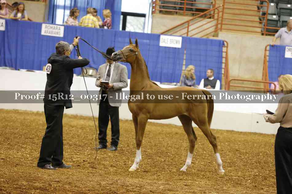 Proof Number 15R12_00317