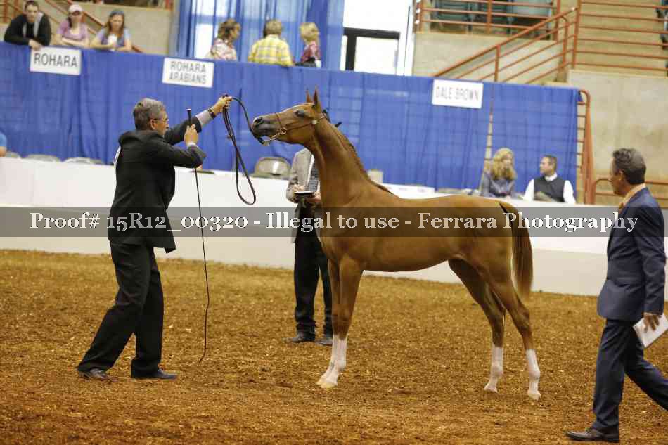 Proof Number 15R12_00320