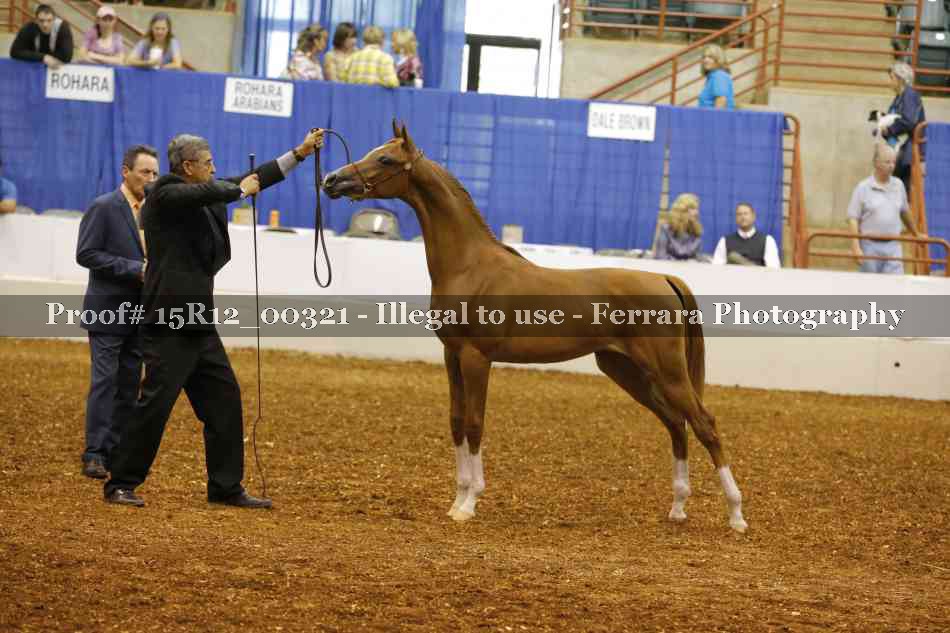 Proof Number 15R12_00321
