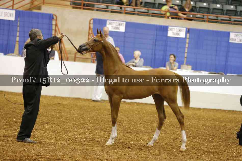 Proof Number 15R12_00322