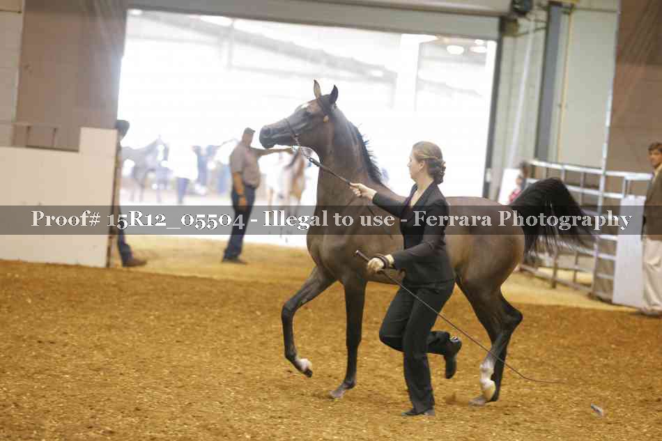 Proof Number 15R12_05504