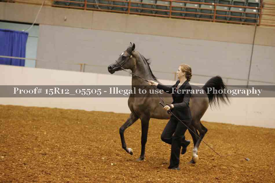 Proof Number 15R12_05505