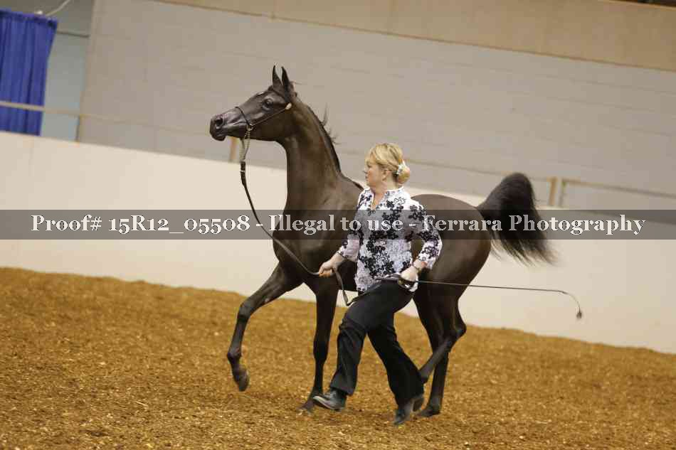 Proof Number 15R12_05508