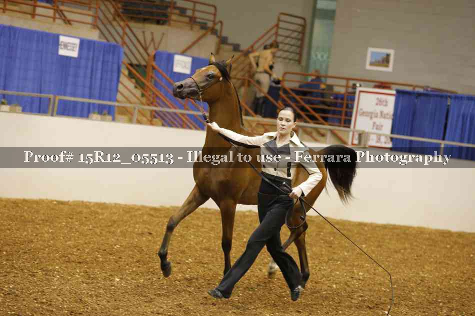 Proof Number 15R12_05513