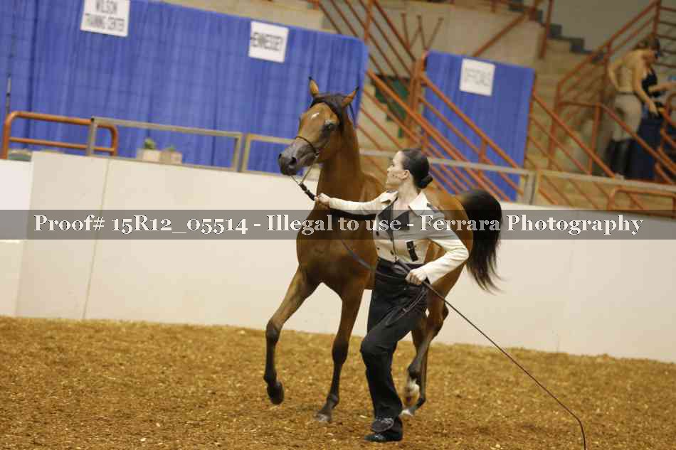 Proof Number 15R12_05514