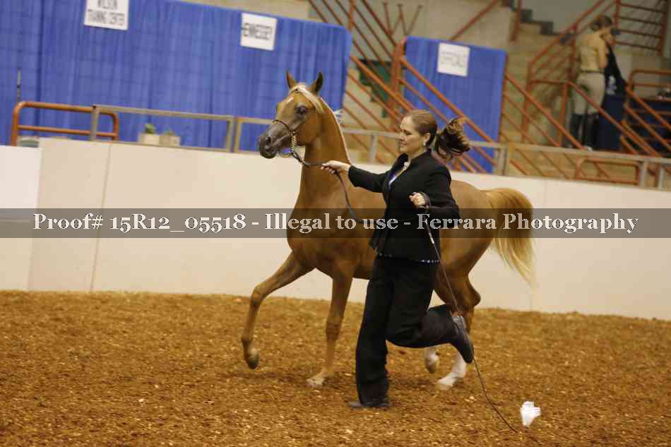 Proof Number 15R12_05518