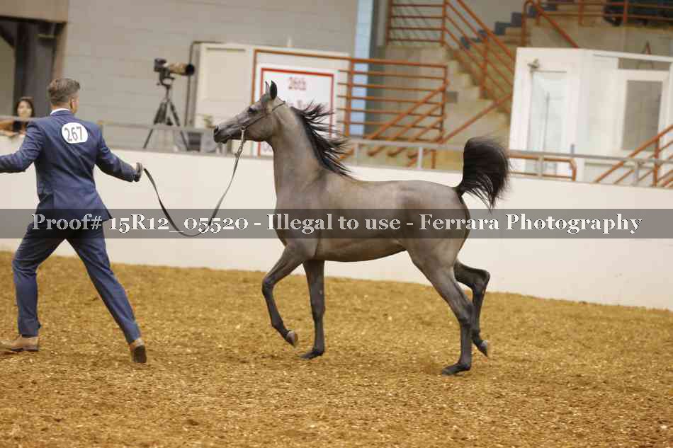 Proof Number 15R12_05520