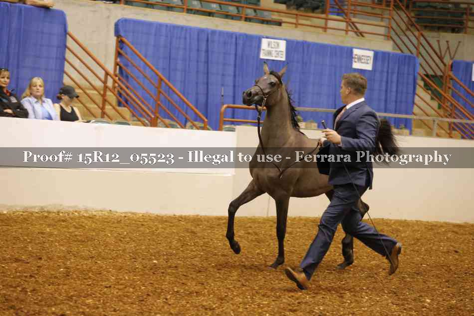 Proof Number 15R12_05523