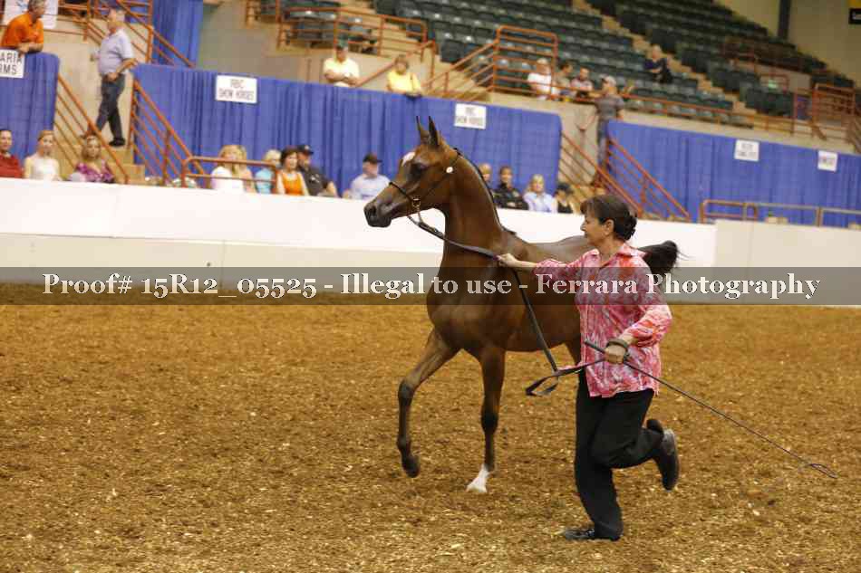 Proof Number 15R12_05525