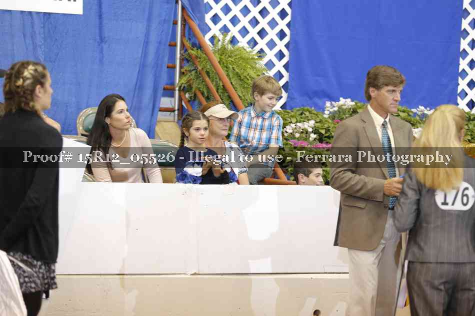 Proof Number 15R12_05526