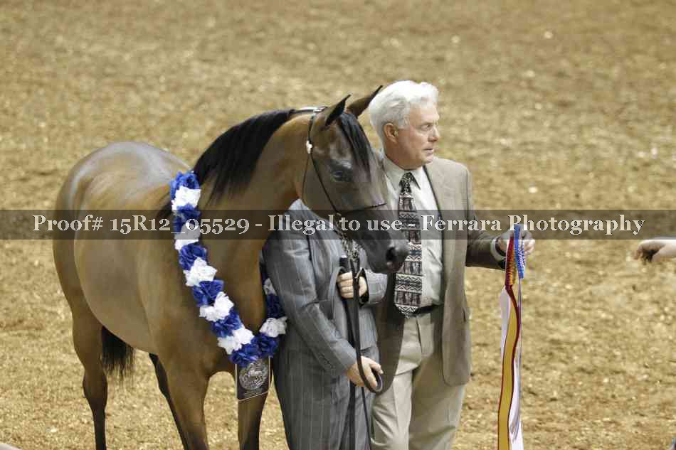 Proof Number 15R12_05529