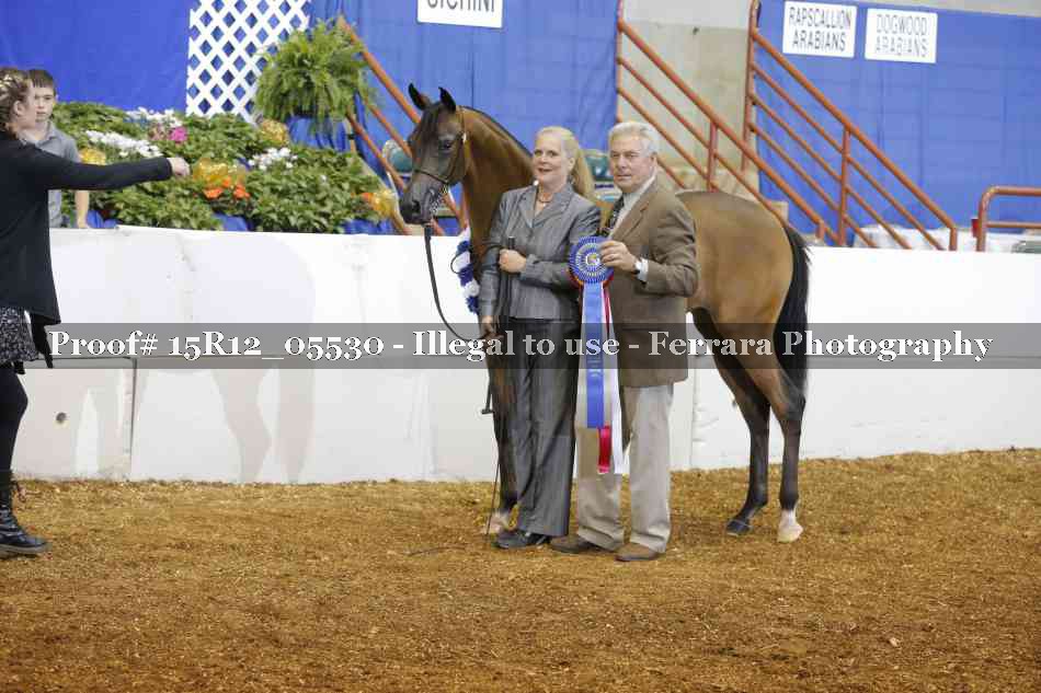 Proof Number 15R12_05530