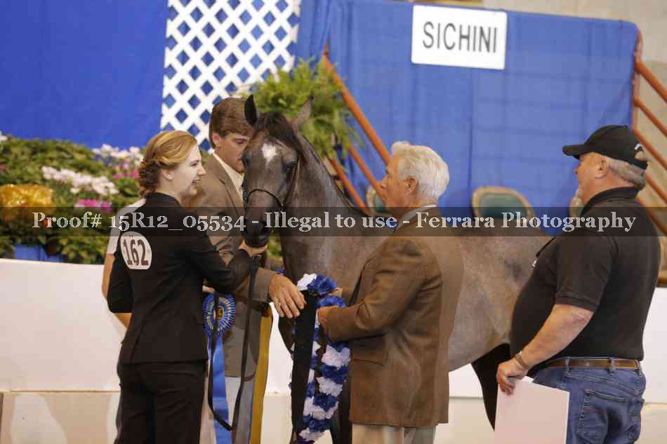 Proof Number 15R12_05534