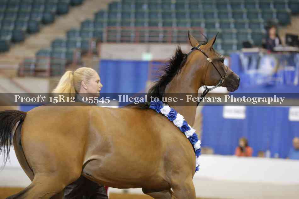 Proof Number 15R12_05545