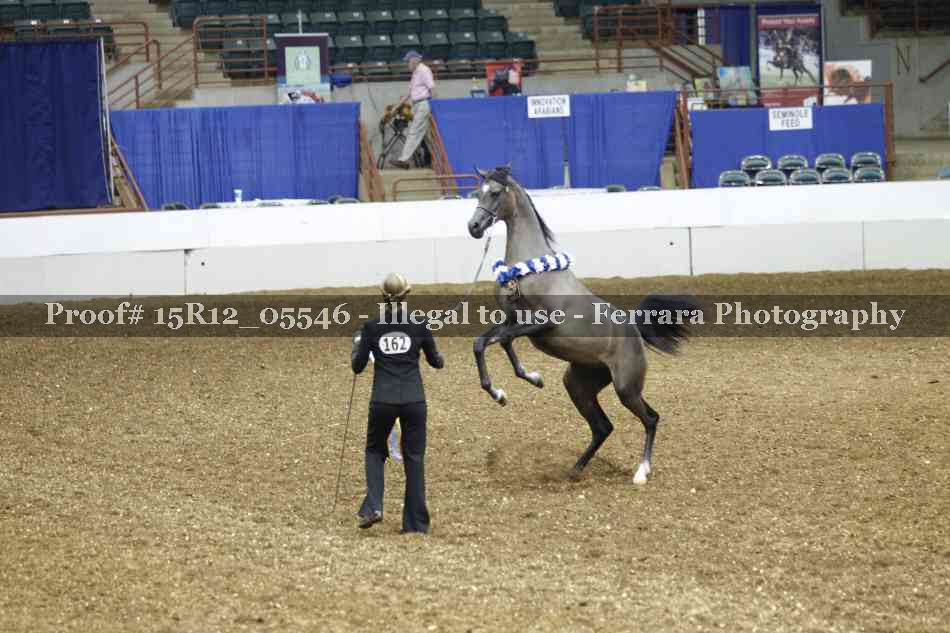 Proof Number 15R12_05546