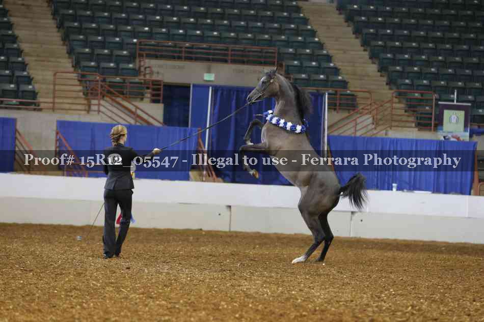 Proof Number 15R12_05547