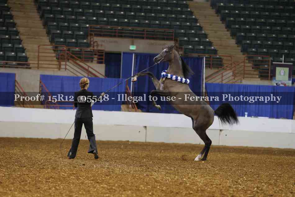 Proof Number 15R12_05548