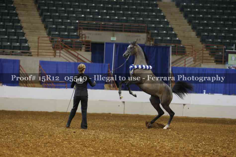 Proof Number 15R12_05549