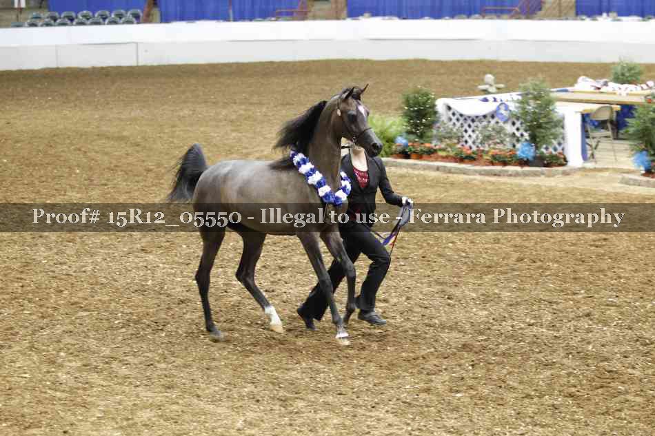 Proof Number 15R12_05550