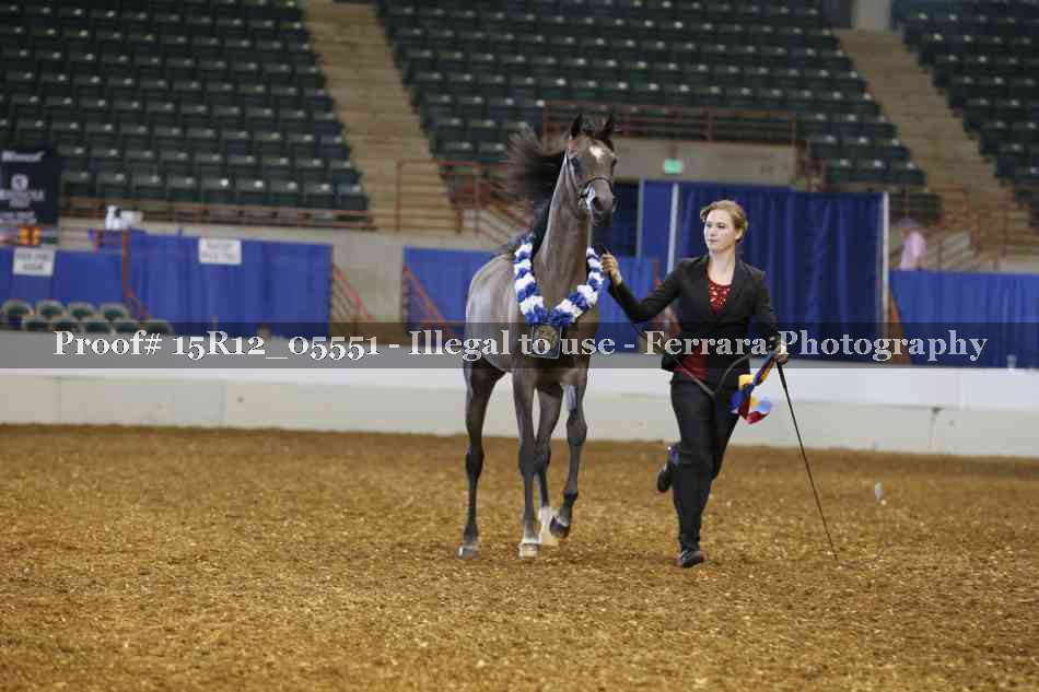 Proof Number 15R12_05551
