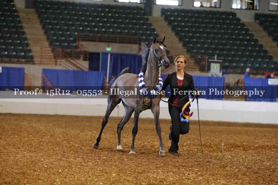 Proof Number 15R12_05552