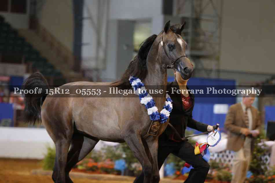 Proof Number 15R12_05553