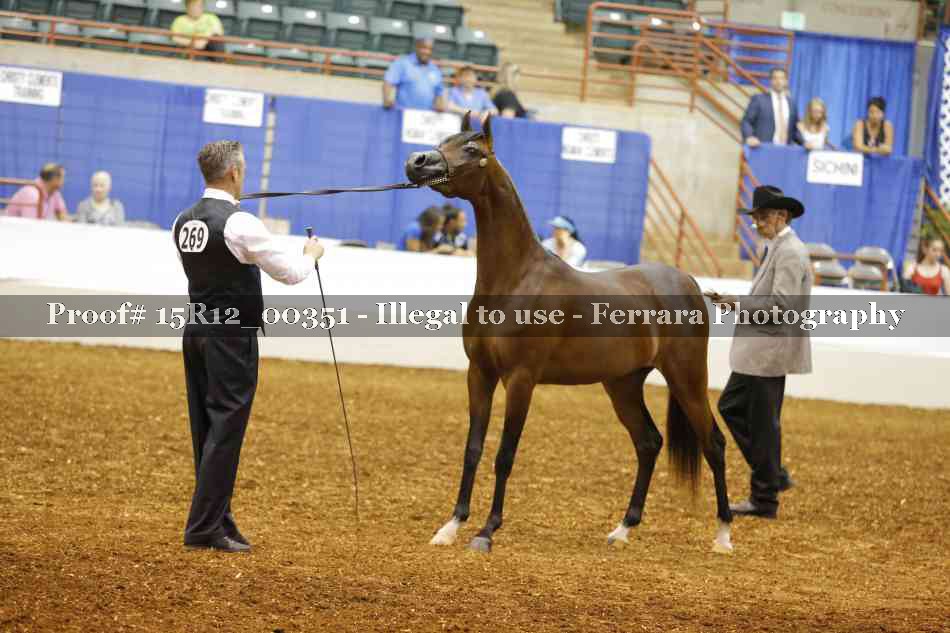 Proof Number 15R12_00351