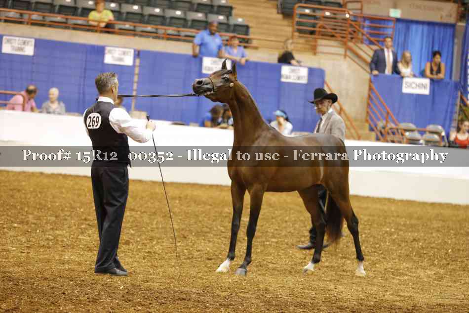 Proof Number 15R12_00352